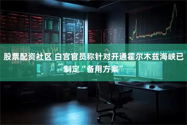 股票配资社区 白宫官员称针对开通霍尔木兹海峡已制定“备用方案”